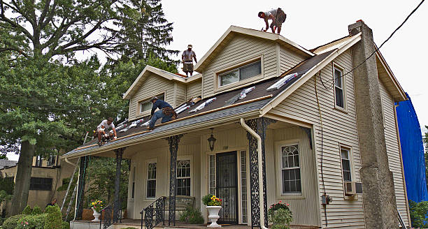 Best Roof Maintenance Services  in Lden, MA